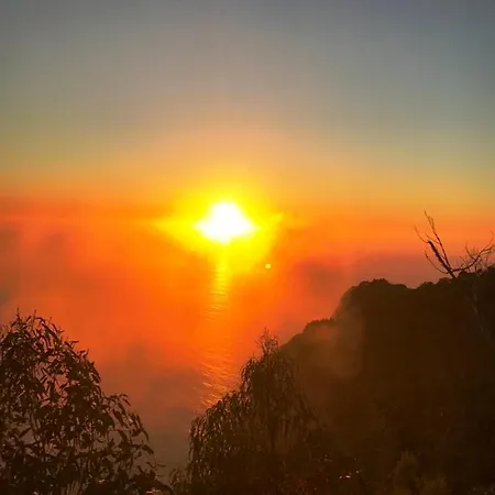 Your In Madeira Iii * Φουνκάλ