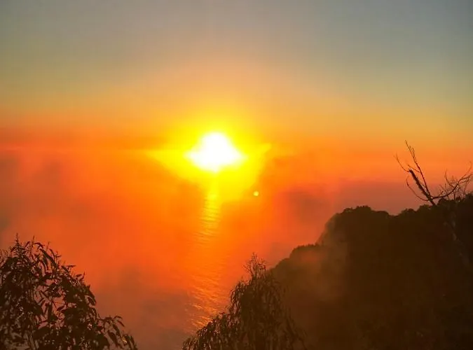 Your In Madeira Iii * 푼샬